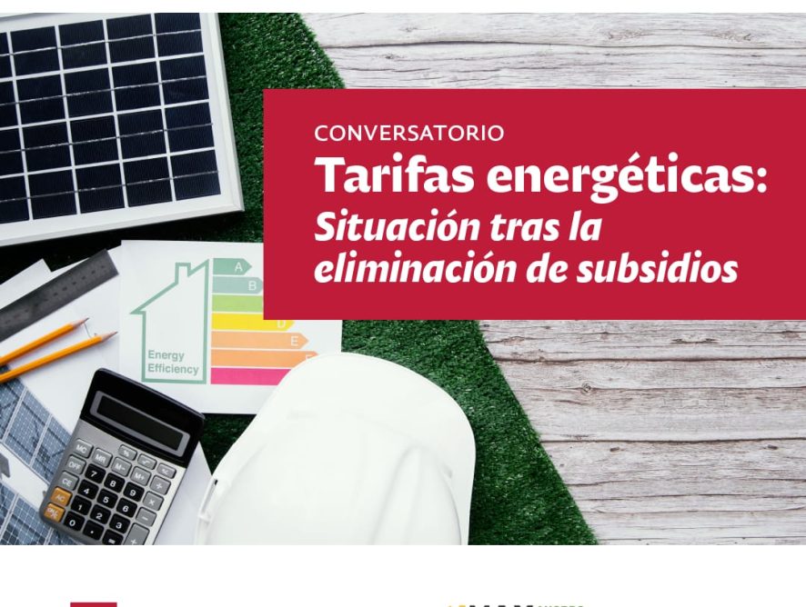 Conversatorio online: Tarifas Energéticas, cómo queda la situación después de la eliminación de subsidios