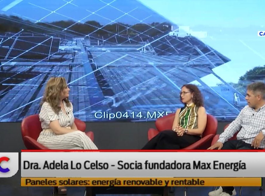 Paneles solares: energía renovable y rentable | Max energía