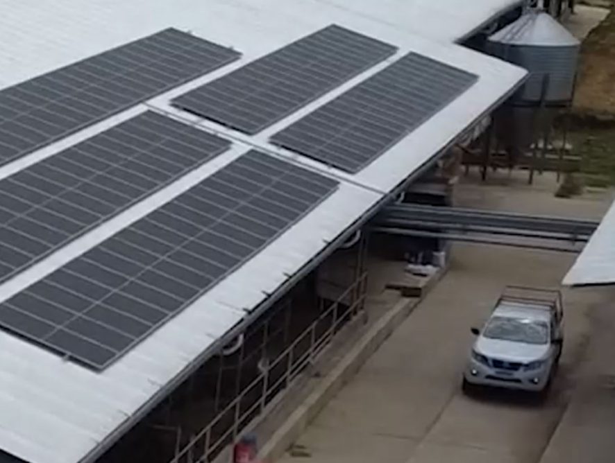 Manfrey celebra el Día Internacional de la Energía instalando 50 kW para generar 85.000 kWh de energía solar fotovoltaica