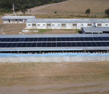 Los Álamos S.A. invierte en energía solar para su criadero de cerdos