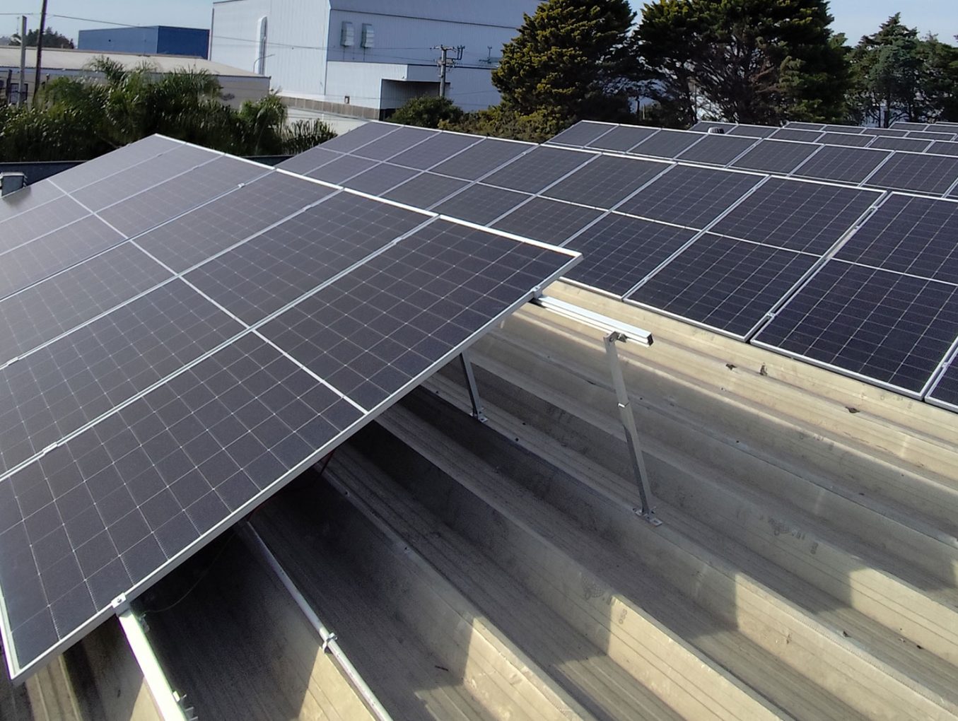 Hamburguesas Beltrán impulsa la sustentabilidad con energía solar