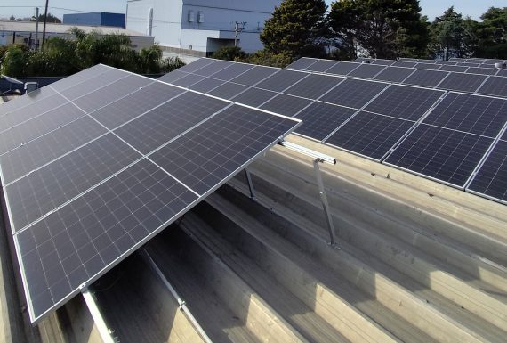 Hamburguesas Beltrán impulsa la sustentabilidad con energía solar
