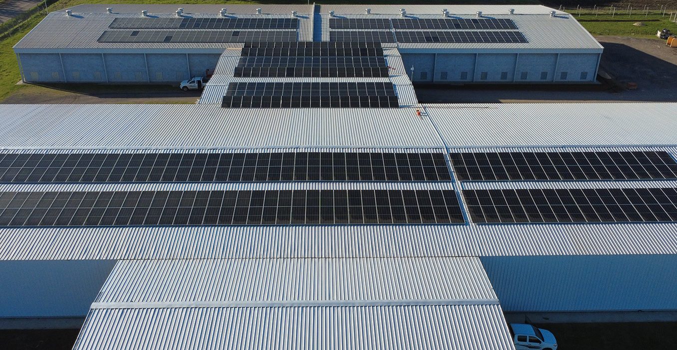 Venado Tuerto: un nuevo Parque Solar gracias al apoyo de SYNGENTA