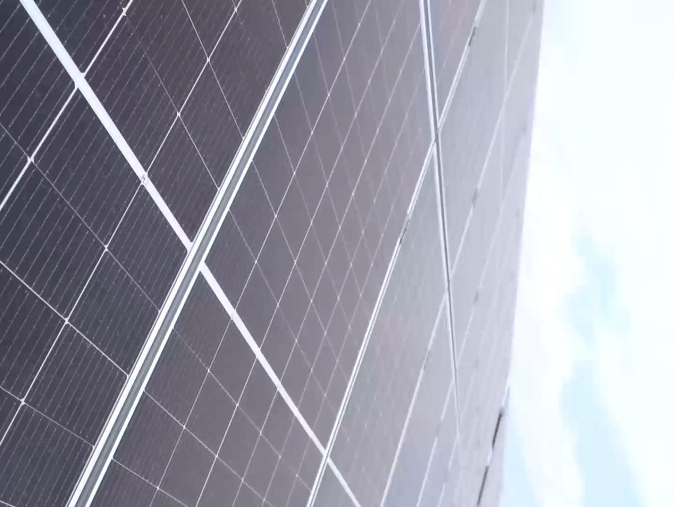 Leistung invierte en energía solar y logra cubrir el 100% de su consumo eléctrico