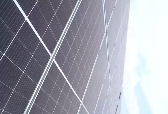 Leistung invierte en energía solar y logra cubrir el 100% de su consumo eléctrico