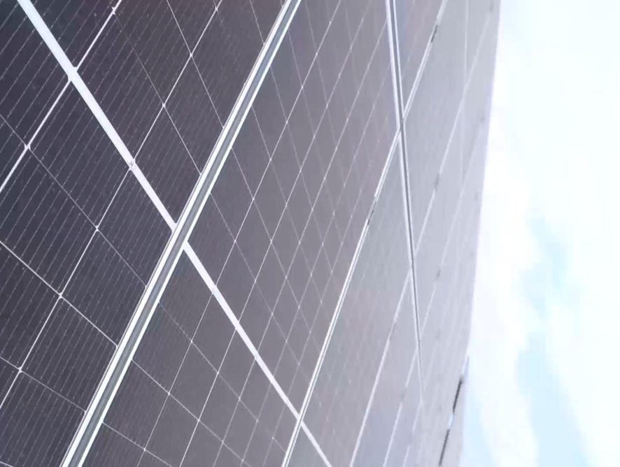 Leistung invierte en energía solar y logra cubrir el 100% de su consumo eléctrico